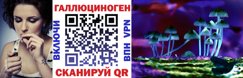 Галлюциногенные грибы GOLDEN TEACHER Афипский