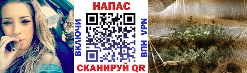 купить наркотик  Афипский  Канабис гибрид 